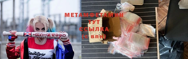 прущие грибы Верея
