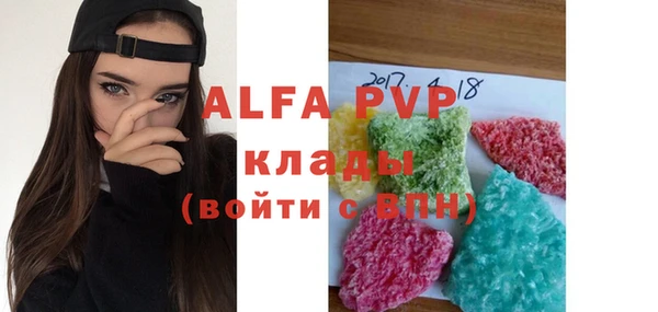 прущие грибы Верея