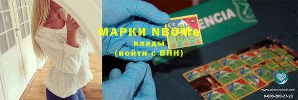 прущие грибы Верея