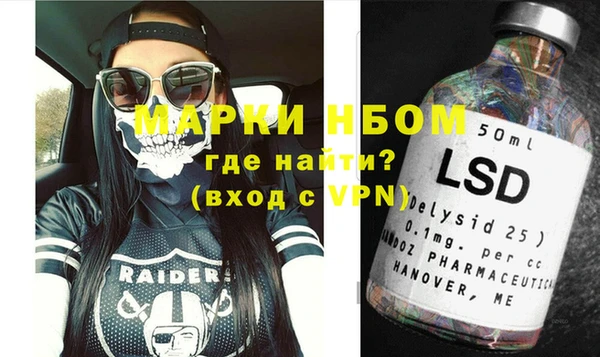 прущие грибы Верея