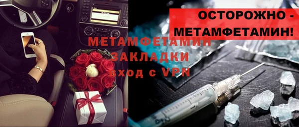 прущие грибы Верея